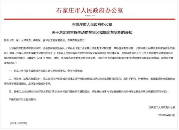 100只小生命“落入陷阱”，这位大叔你违法了，知道吗？