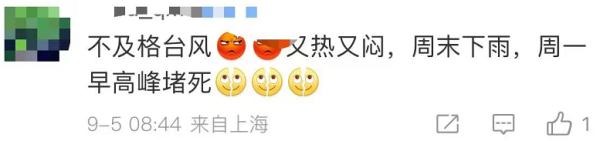 “轩岚诺”正越过上海同纬度，最近300公里！早高峰泡汤，网友：不懂事