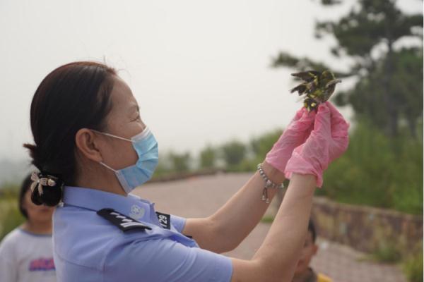 100只小生命“落入陷阱”，这位大叔你违法了，知道吗？