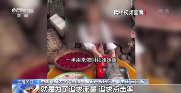 烹食大白鲨、“水母雪兔子”煮泡面，如何刹住猎奇式吃播？