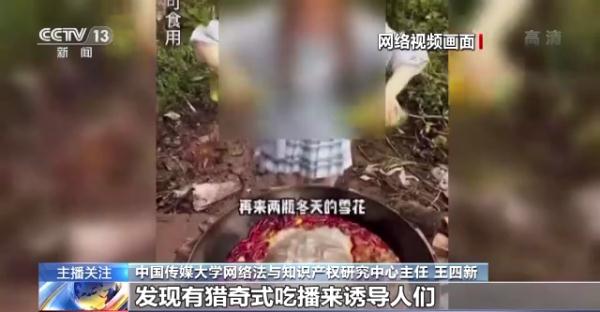 烹食大白鲨、“水母雪兔子”煮泡面，如何刹住猎奇式吃播？