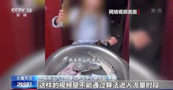烹食大白鲨、“水母雪兔子”煮泡面，如何刹住猎奇式吃播？