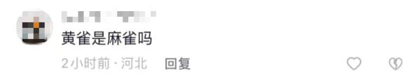 100只小生命“落入陷阱”，这位大叔你违法了，知道吗？