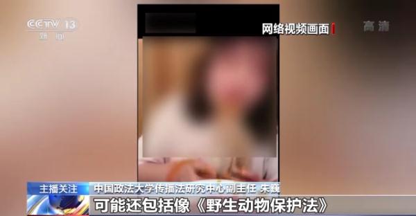 烹食大白鲨、“水母雪兔子”煮泡面，如何刹住猎奇式吃播？
