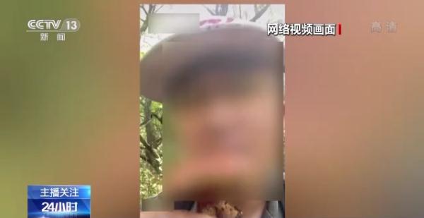 烹食大白鲨、“水母雪兔子”煮泡面，如何刹住猎奇式吃播？