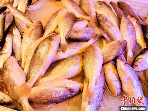 䱛鱼：广东侨乡台山百姓的“家常味”