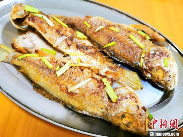 䱛鱼：广东侨乡台山百姓的“家常味”
