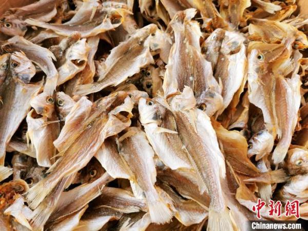 䱛鱼：广东侨乡台山百姓的“家常味”