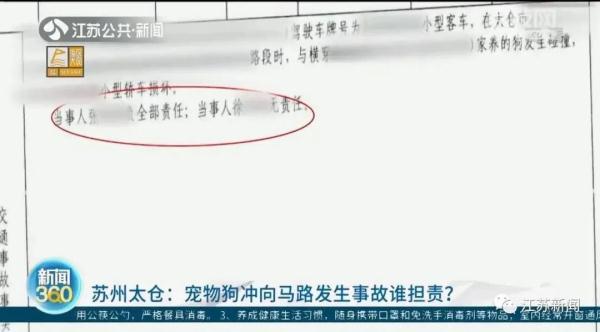 宠物狗横穿马路被撞，狗主人全责赔偿！这条规定养狗人士请牢记