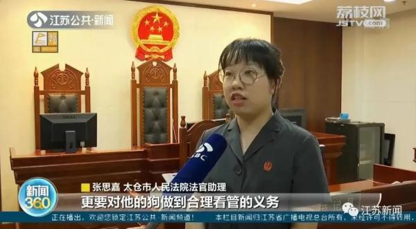 宠物狗横穿马路被撞，狗主人全责赔偿！这条规定养狗人士请牢记