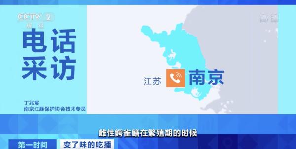 “怪鱼”竟被做成酸菜鱼？！猎奇式吃播火了，“吃奇”之风如何刹住