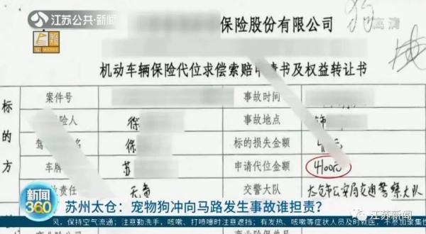 宠物狗横穿马路被撞，狗主人全责赔偿！这条规定养狗人士请牢记