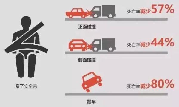 上海交警：乘车坐后排不系安全带也要罚！罚司机还是乘客？怎么罚？