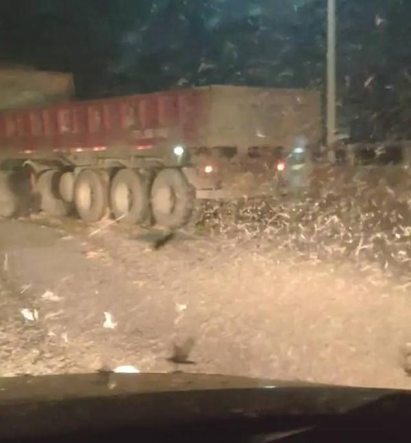 密密麻麻！湖南一地惊现大量飞虫：尸体堆了十几公分厚，轮胎都打滑