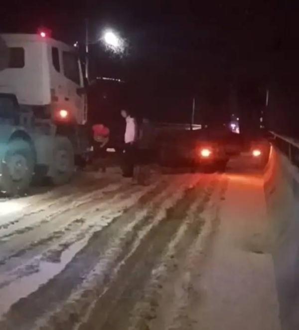 密密麻麻！湖南一地惊现大量飞虫：尸体堆了十几公分厚，轮胎都打滑