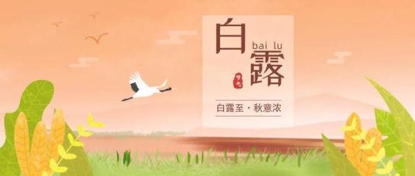 今日白露：露从今夜白，白露养生做好3护，吃好3果！