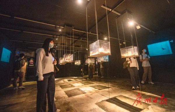 沙面这些老建筑,打开大门了! 沙面这些老建筑,打开大门了!