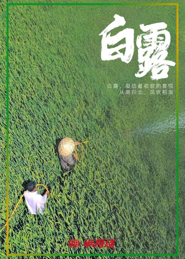 白露，诗情悠悠润心田