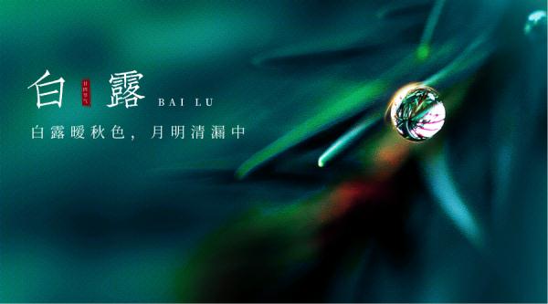 白露节气 | 露白秋凉，静候好个秋！