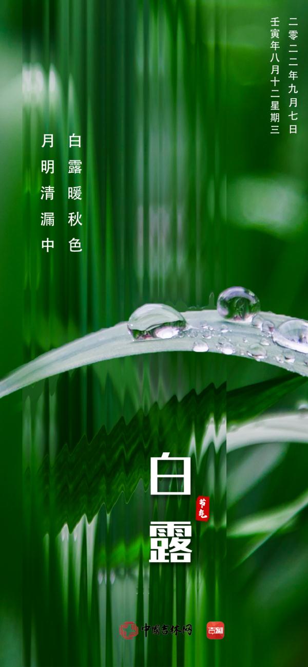 白露 | 露从今夜白，天自此日凉