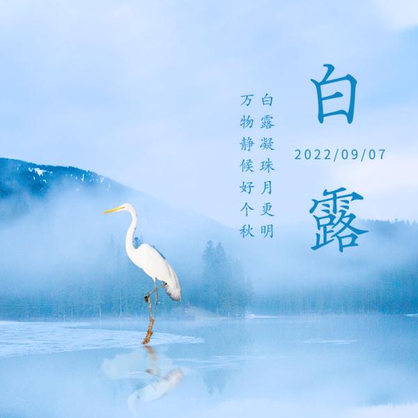 白露节气 | 露白秋凉，静候好个秋！