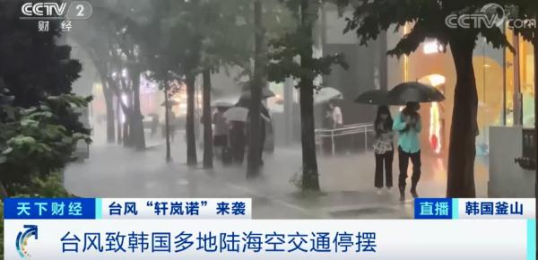 “史上最强台风”？这里，陆海空交通中断！核电机组暂停