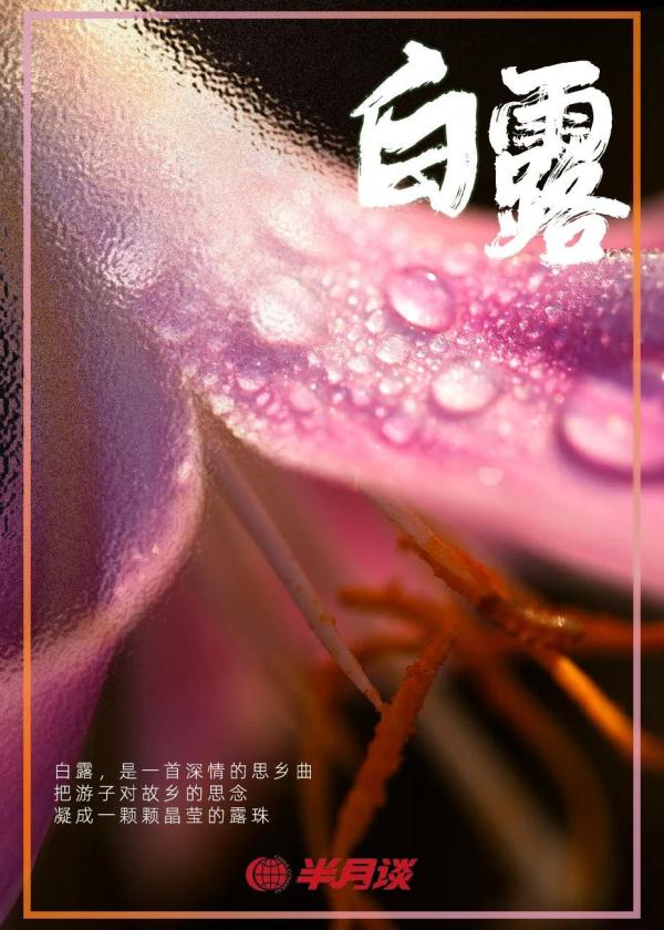 白露，诗情悠悠润心田