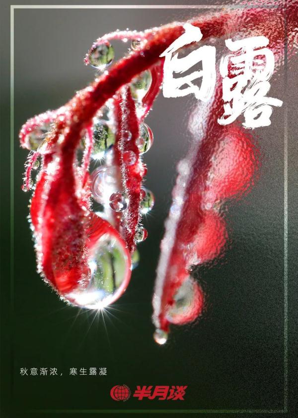 白露，诗情悠悠润心田