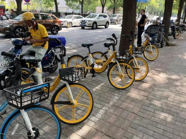 共享单车被“过度清理”？上海市道运局：已向公安移交证据线索