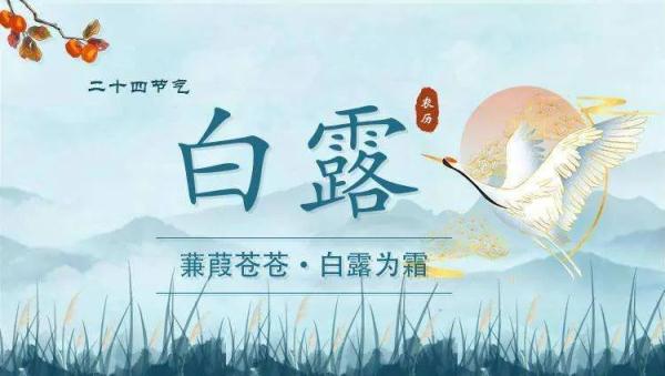 今日白露：露从今夜白，白露养生做好3护，吃好3果！