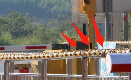 收费站被“蜂锁”了？密恐者慎入