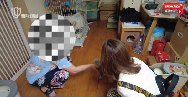 难以忍受！沪一居民楼常飘出一阵阵莫名臭味，哪来的？
