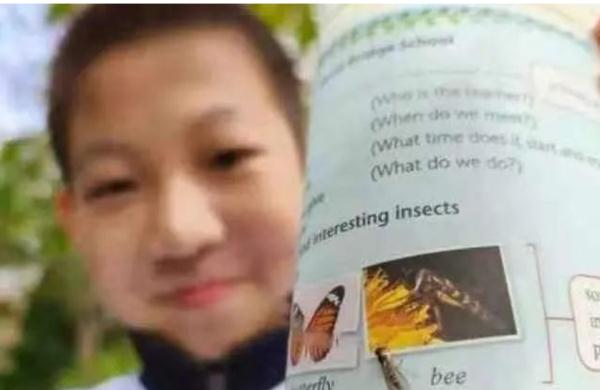 数学教材上的信息有误？上海一小学生指出教科书错误，专家回应