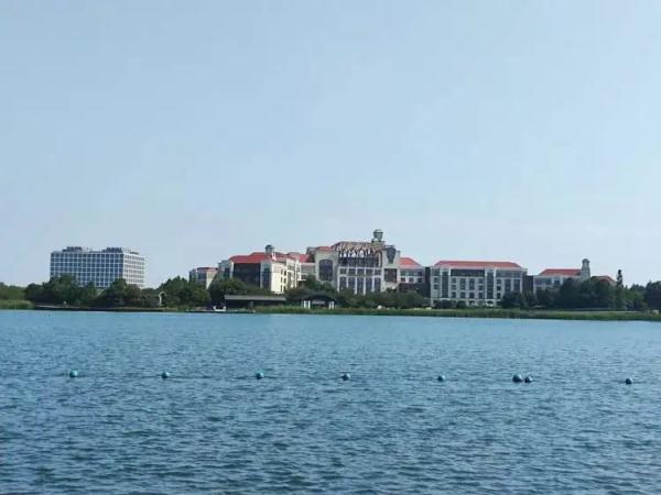 临时管控！“喜提”迪士尼酒店免费隔离，住客笑称“天花板级别！”