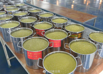 河南这个小县一年生产400万克拉钻石