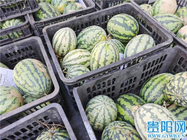 贵阳花果园连夜开启“送菜”模式，居民陆续收到物资