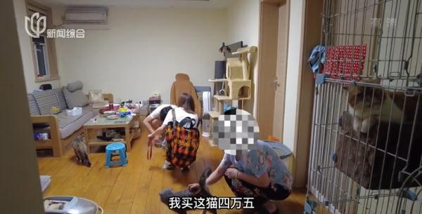 难以忍受！沪一居民楼常飘出一阵阵莫名臭味，哪来的？