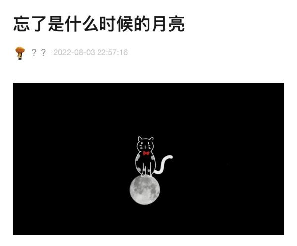 月亮什么都知道