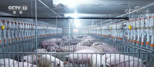 中秋、国庆两节期间 城乡百姓“菜篮子”供应充足 品种丰富