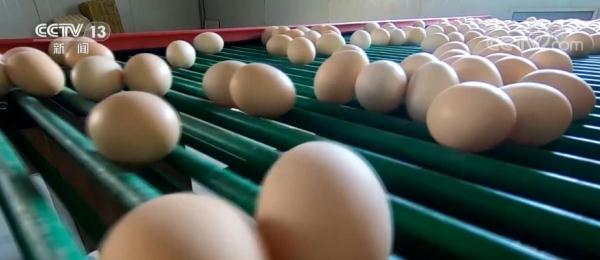 中秋、国庆两节期间 城乡百姓“菜篮子”供应充足 品种丰富