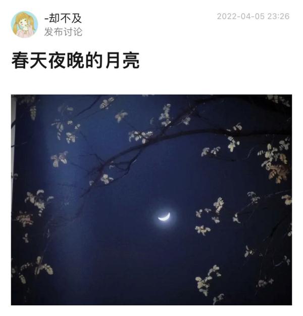 月亮什么都知道