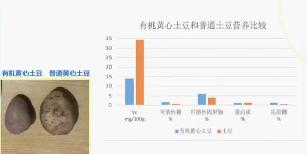 价格翻倍的这种土豆,VC含量却低于普通土豆,看完再掏钱买 价格翻倍的这种土豆,VC含量却低于普通土豆,看完再掏钱买
