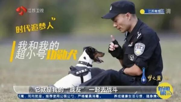 "我不是童工！"上海小码警犬萌上热搜，"考编"经历曝光