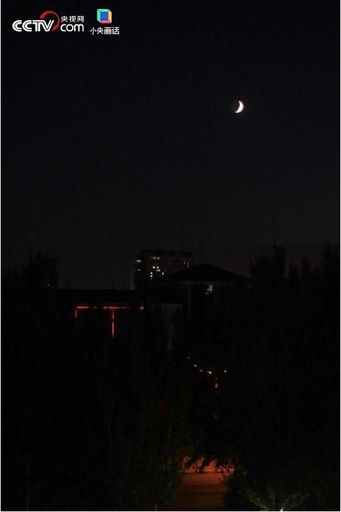 月亮什么都知道