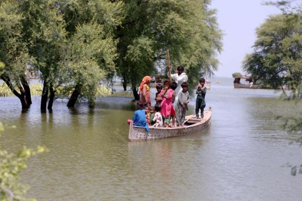 巴基斯坦洪灾严重损坏摩亨佐·达罗古城遗址