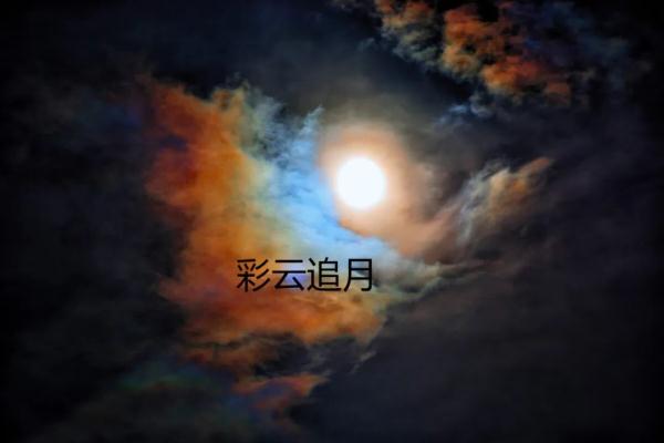 最强14级！台风“梅花”更新路径！对珠海的影响是……