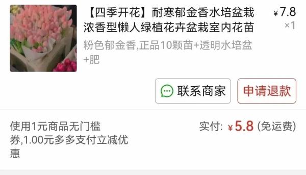辛辛苦苦种了6个月，结果不是郁金香