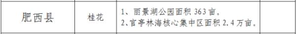 香香香香……真香！到合肥啦！