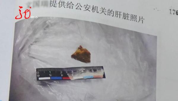 牡丹江一小区11只宠物犬相继被毒死！凶手抓到了……