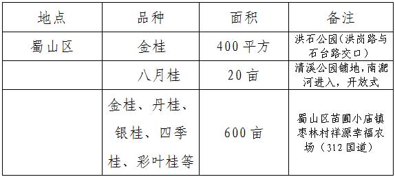 香香香香……真香！到合肥啦！